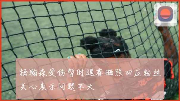 杨瀚森受伤暂时退赛晒照回应粉丝关心表示问题不大